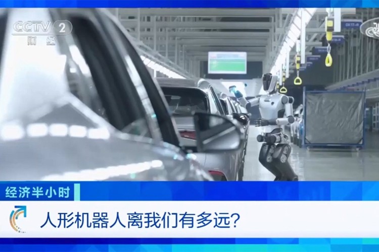 中央电视台《经济半小时》栏目对DB视讯多宝机器人的专题报道